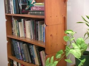 Wooden Modular Shelves with Books